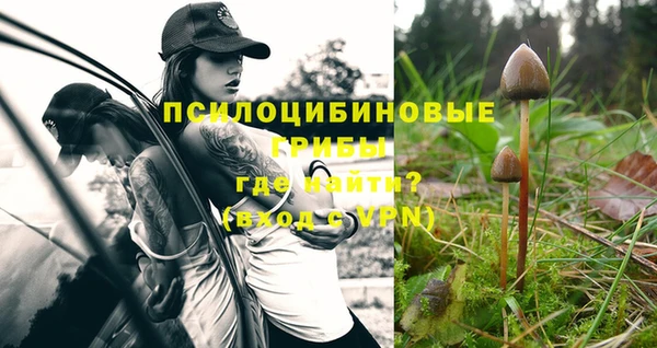 прущие крисы Алзамай