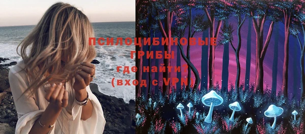 шишки Алексеевка