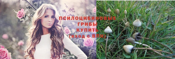 дживик Алексин
