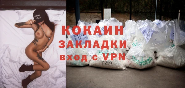 дживик Алексин